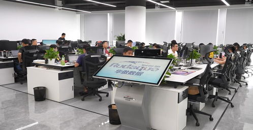 深圳 挖掘數(shù)據(jù)潛能，為企業(yè)打造星級(jí)政務(wù)服務(wù)新生態(tài)