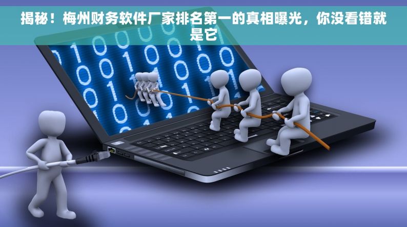 揭秘！梅州財(cái)務(wù)軟件廠家排名第一的真相，你沒(méi)看錯(cuò)就是它