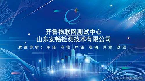 軟件產品登記測試為何如此重要 數據處理服務的關鍵保障